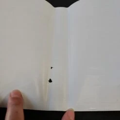 WRESTLEMANIA STEEL CAGE CHALLENGE SANS NOTICE MASTER SYSTEM -Jeux Sur Console wrestlemania steel cage challenge sans notice master system 8